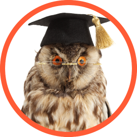 Owl wearing mortarboard hat
