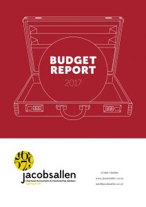 Budget Report 2017